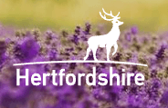 Hertfordshirecountycouncil